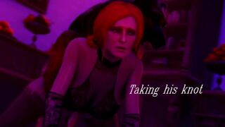 5 Stages of a Breeding Bitch