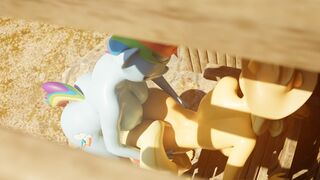 Dash X Applejack Standing Doggy [Erostud]