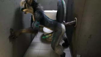 New Videos