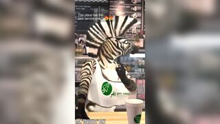 Zahira at your service