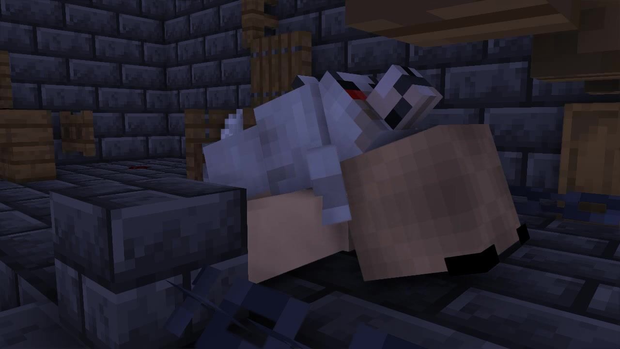 Minecraft cat girl get fuck by wolf