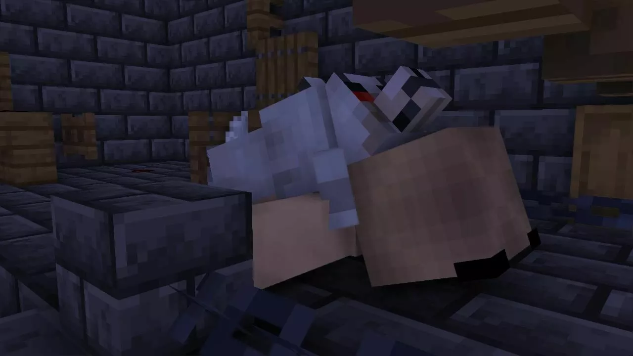 Minecraft cat girl get fuck by wolf