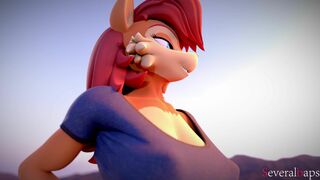 Sally Acorn [severalbaps]