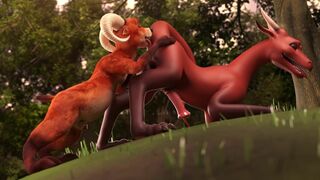 Who gets the apple? PART 1 - Crittermatic