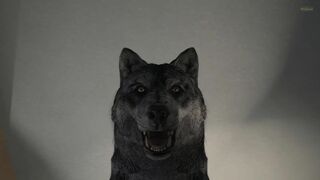 Human male x female Wolf