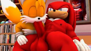 Tails x Knuckles [Wector]