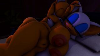 Tails x Rouge Part 2 [Burstingseas]