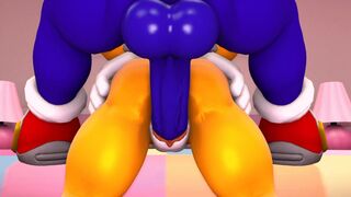 Sonic x Marine [Wector]