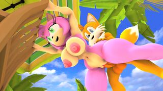 Tails x Amy HD [Wector]