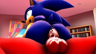 Sonic x Knuckles Part 2 [Wector]