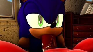 Sonic Blowjob Knuckles Part 3 [Wector]