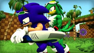 Sonic x Jet The Hawk [Wector]