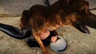 2B＆Dog bestiality mission5