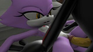 Shadow fucking Blaze [dradicon]