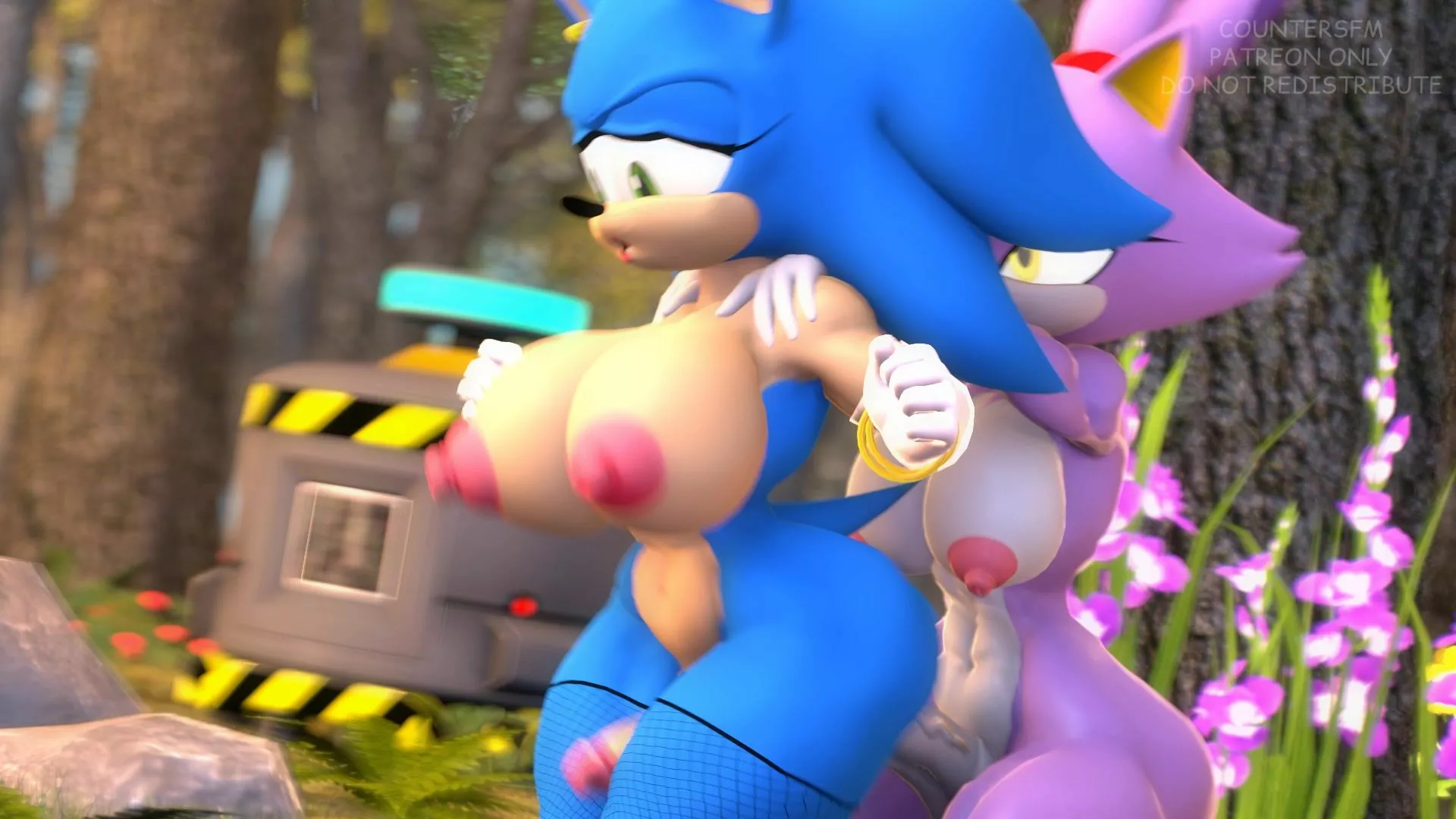 Sonic Blaze Porn - Fem Sonic X Futa Blaze [CounterSFM]