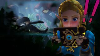 The Legend of Zelda Concept HMV