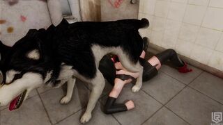 All Dogs Go To 7th Heaven