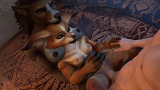 The Fox & Hound 2 - MekLab