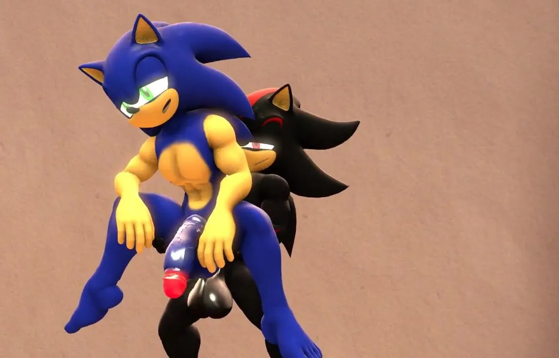 Sonic and Shadow Hot Sex [Mtymac]