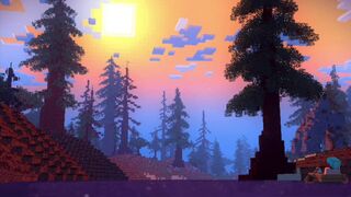 Jenny belle vs warden