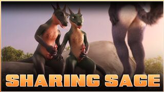 Sharing Sage [Crittermatic]