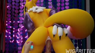 I choose you, Renamon! 1 - Wigfritter