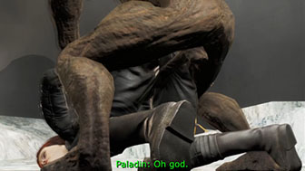 fallout, paladins