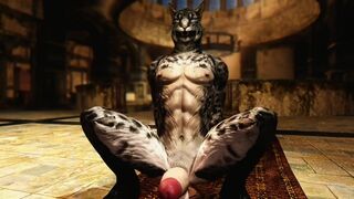 [MMOBoys/IXUM]Skyrim：Khajiit wants coins…