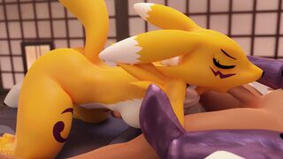 Renamon Blowjob - Furromantic