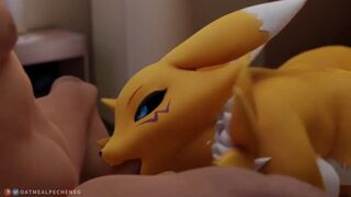 Renamon(And Some Krystal) Porn Compilation