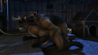 Comet And Dog [H0rs3]