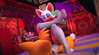 Rouge Riding Tails [twitchyanimation]