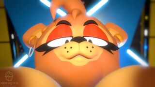 Five Nights at Freddy's Compilation