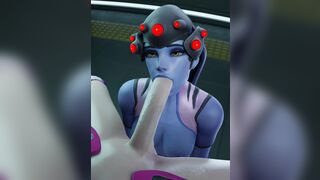 D.va & Widowmaker (Overwatch) [Hoik3D]