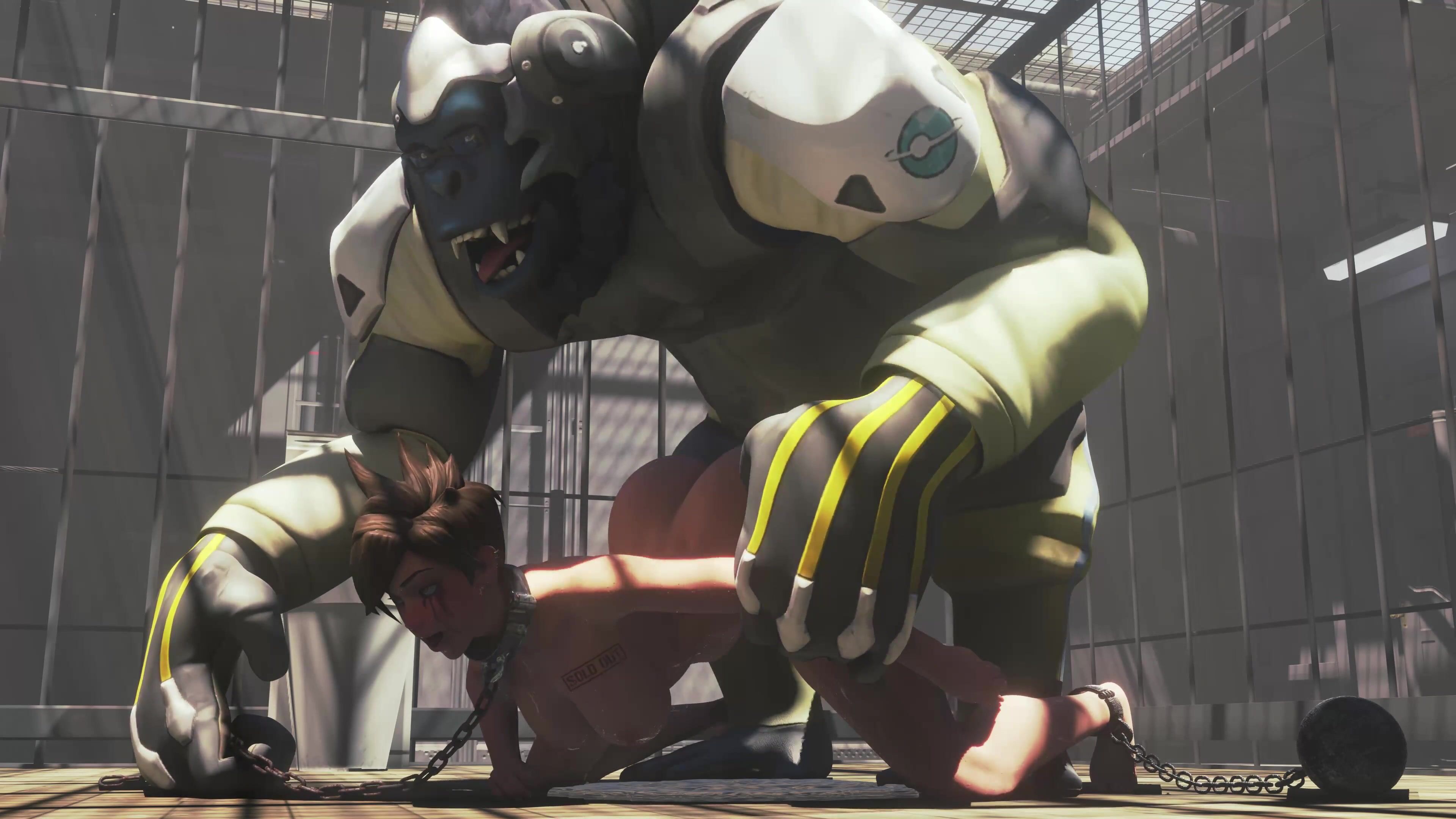 Tracer And The Ape 1