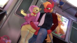 Ticket Inspection [Hoovesart]