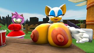 Nice argument, but... (Rouge x Amy)