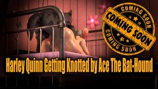 Harley Quinn Getting Knotted by Ace The Bat-Hound [TEASER]