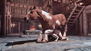 Fucking the stallion