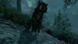 The Druidess - Trailer