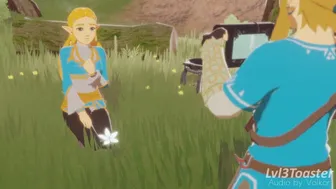 Zelda Stasis Prank [Lvl3toaster]