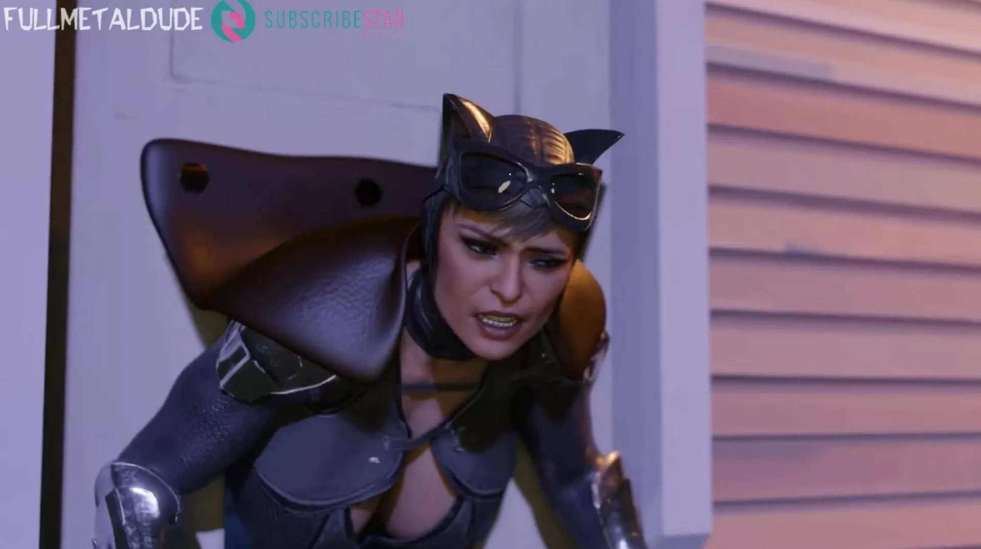 Catwoman Tried To Rob The Wrong House [FullMetalDude]