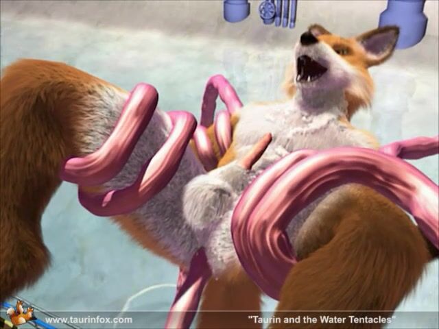 Ерлі-зайыптылар арасындағы әдемі нәзік секс