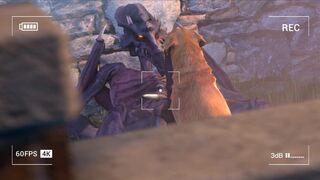 Catching Strays (2/2)