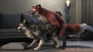 [4K]Tani And Nightfox