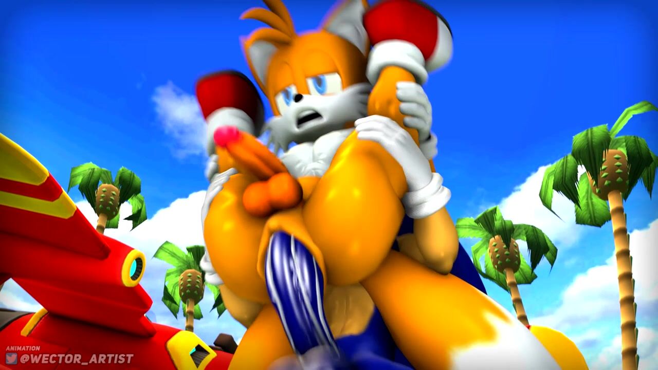 Sonic x Tails [Wector]