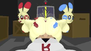 [4K]Mitty's Plusle And Minun