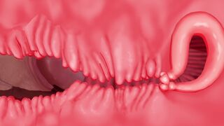 doodle GF fun [Reimu, Hecatia, Alice, Sakuya, Youmu]