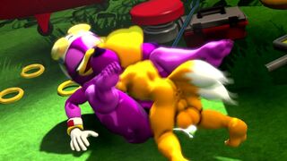 Tails and Wave [thatknowndude]