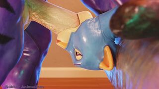 Tiger x Lion [RubberAnimations]